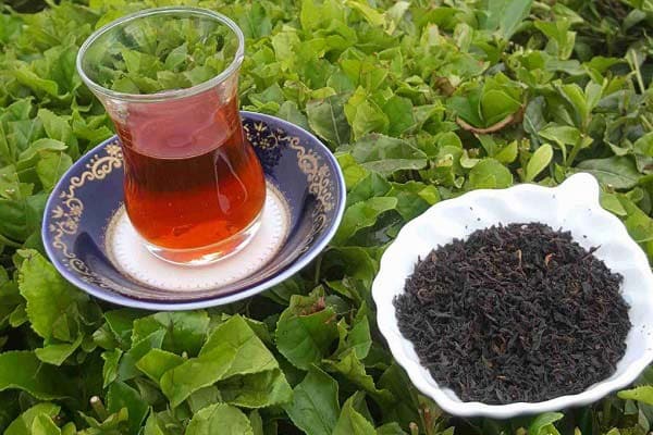 تصویر 5 از قیمت خرید چای زعفرانی ایرانی با فروش عمده